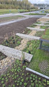 Kivikoriaita aita kivikori