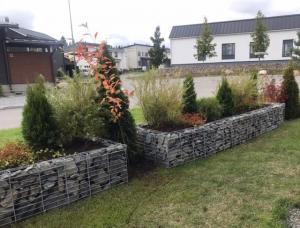 Istutusallas kivikoreista